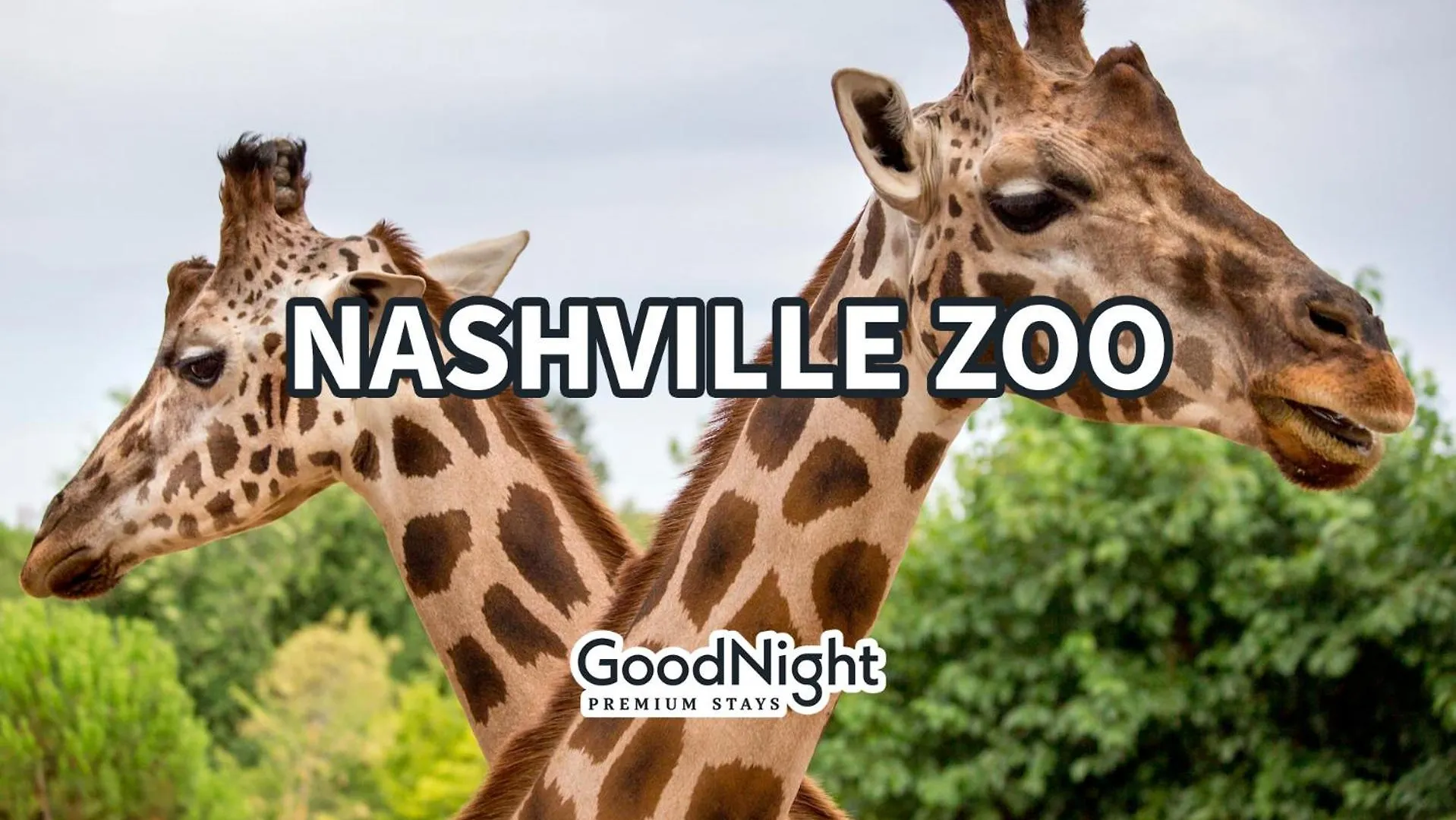 Harmony Hideout - Odyssey - Heart Of Midtown Villa Nashville